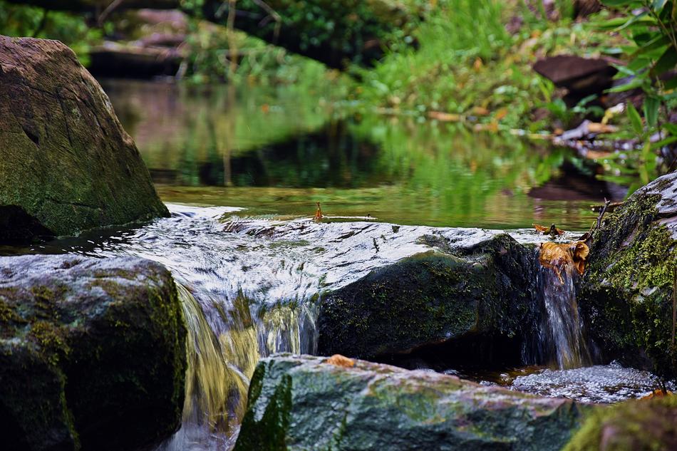 waterfall with rocks in green grass