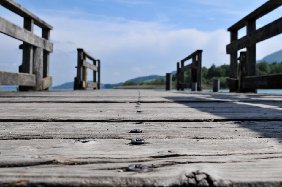 wooden bridge with spider webs