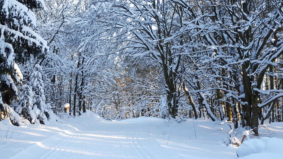 Winter Snow Cold