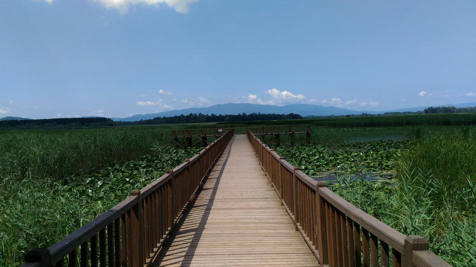 Efteni Lake Nature Golyaka Duzce