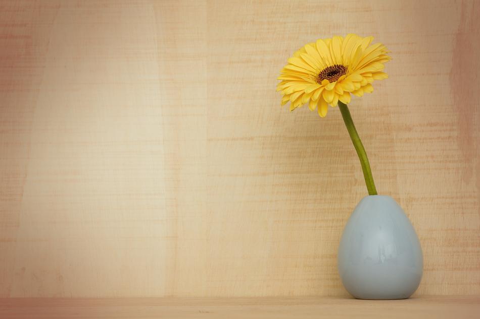 Gerbera Flower Decoration Flora