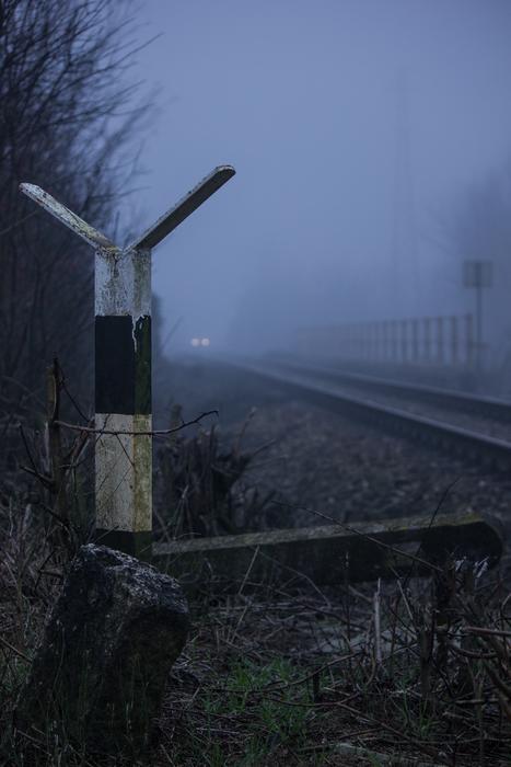 Nature Train Railroad