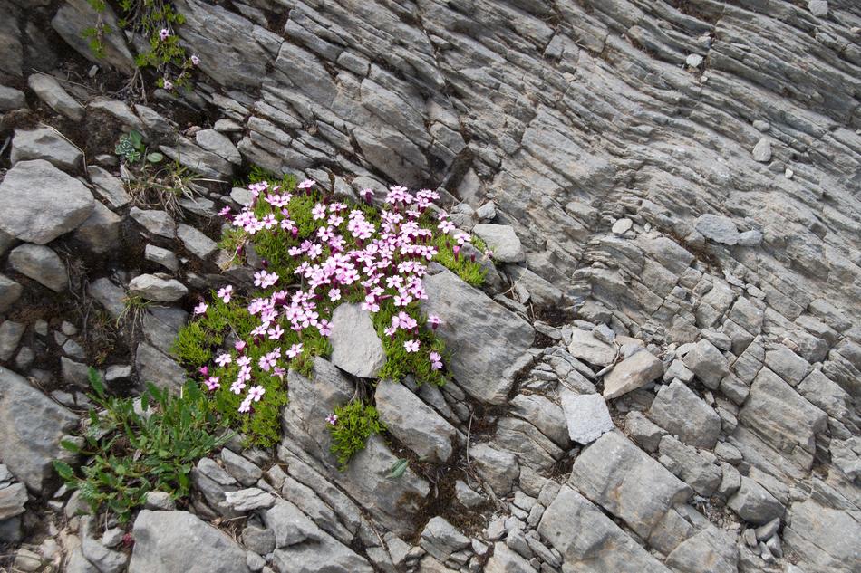Roche Pierre Nature