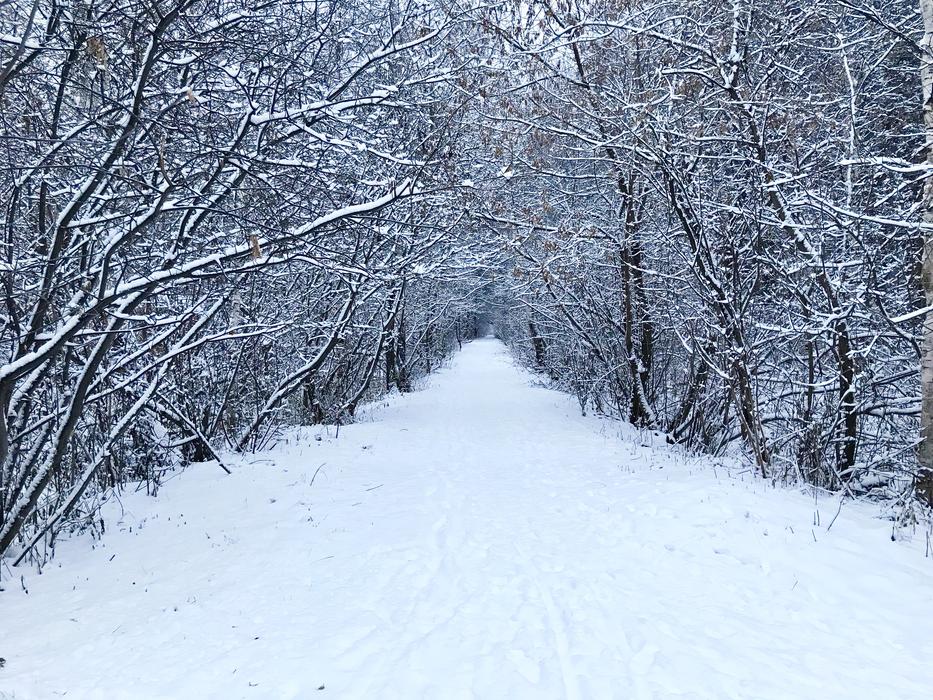 snowy cold weather