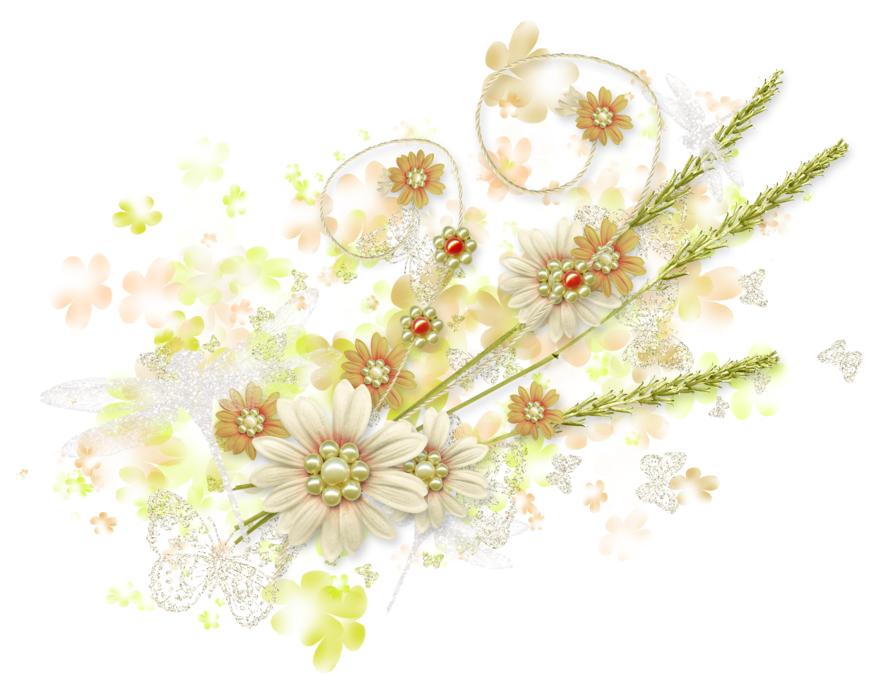 Spring Summer Flowers