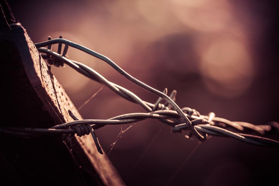 Nature No Person Barbed Wire
