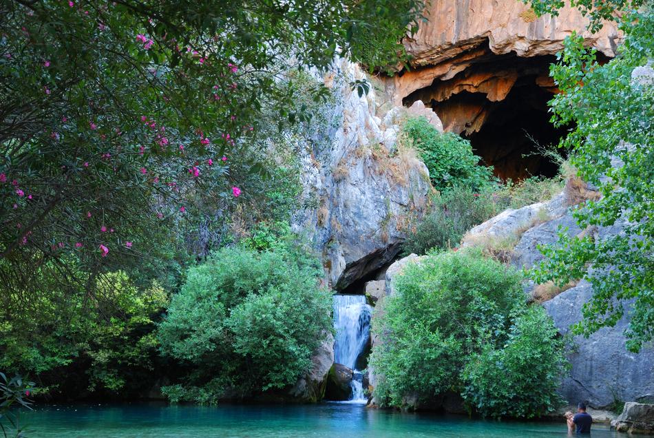Water Nature Tree
