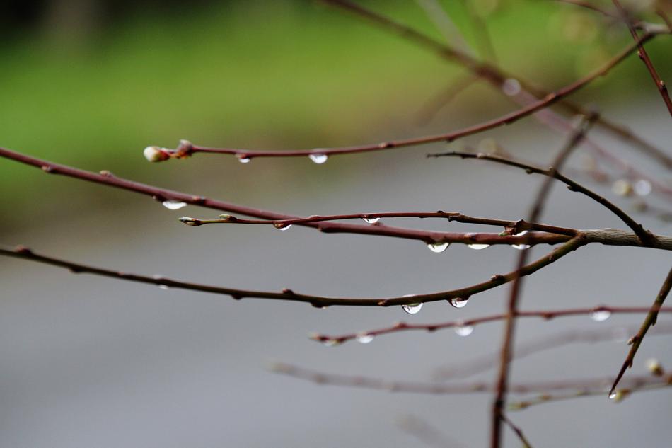 Drops Of Water Nature Outdoor