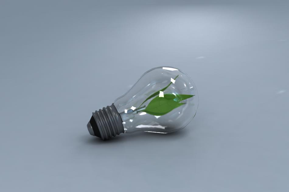 Incandescent Lamp Nature