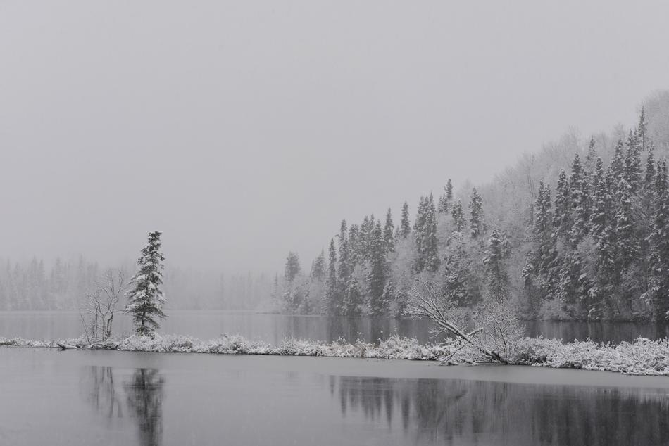 Snow Winter Nature