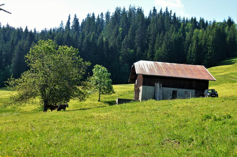Alpe Farm Breeding Wood