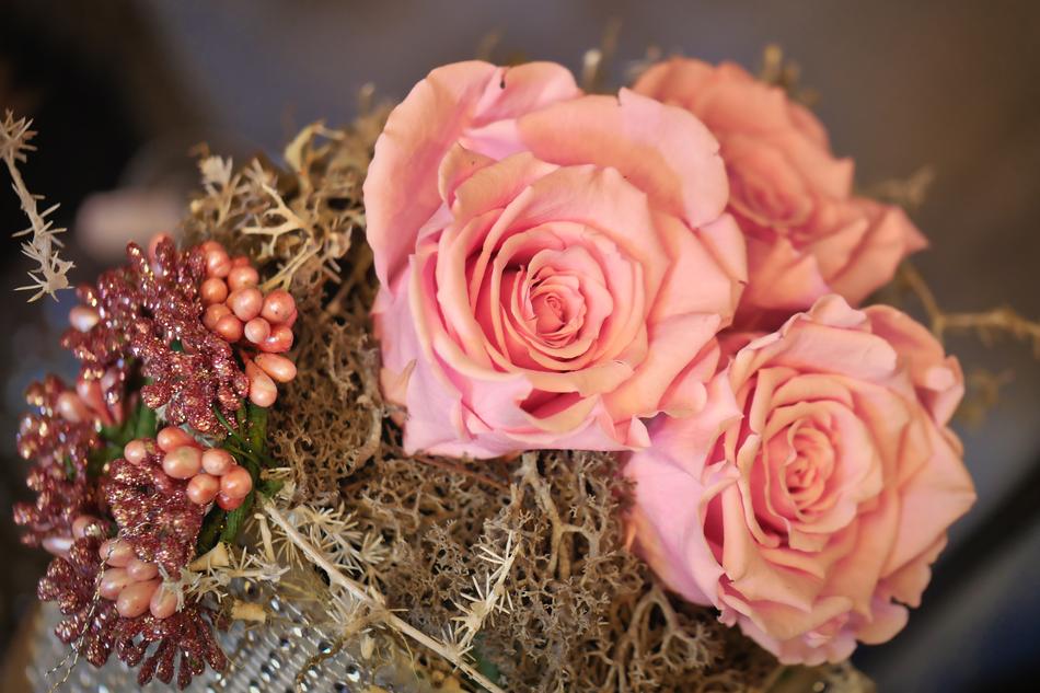 Flower Rose Floral