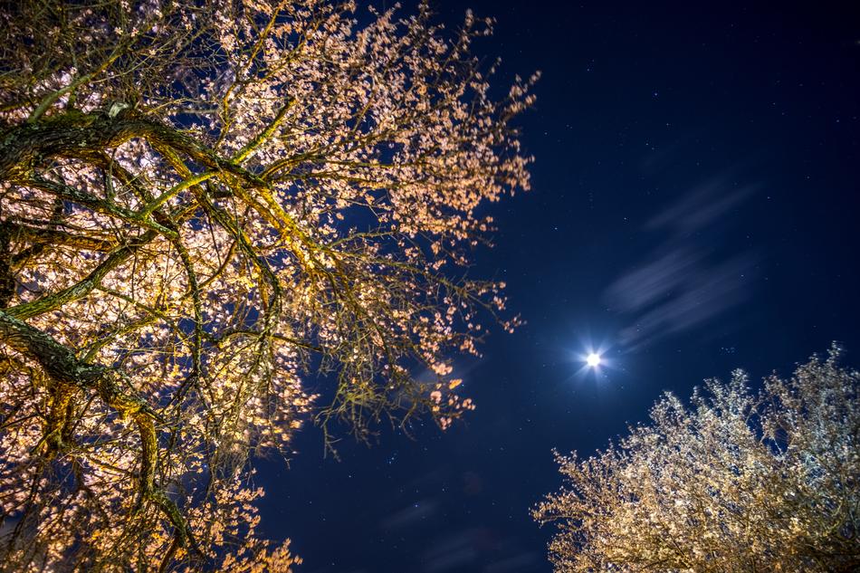 Sky Moon Night
