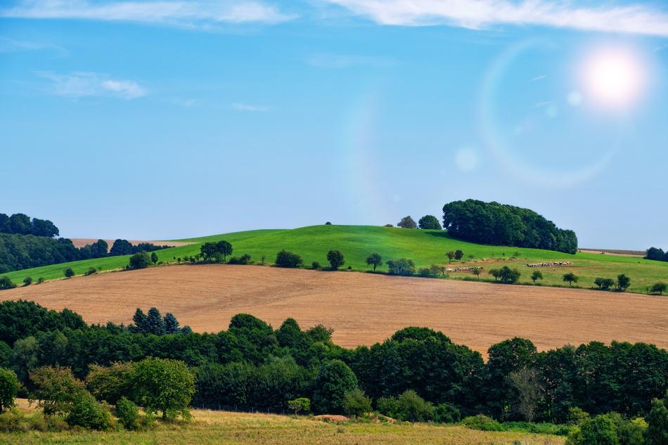 Landscape Reported Pasture