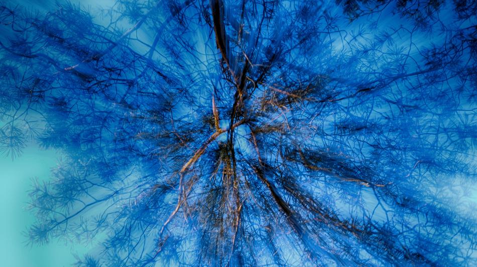 Abstract Sky Tree