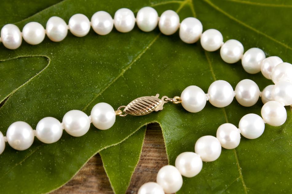 Jewelry Necklace Pearls White