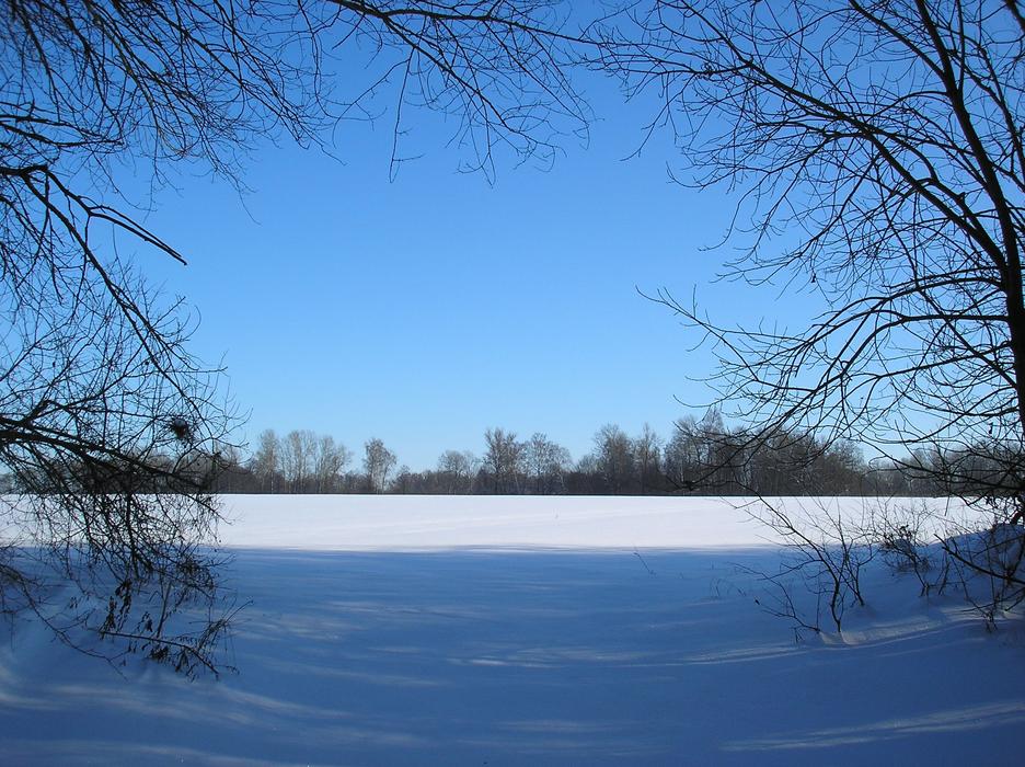 Winter Snow Coldly