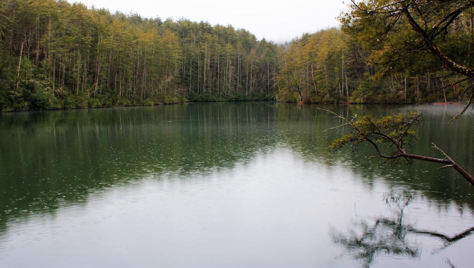 Water Nature Reflection