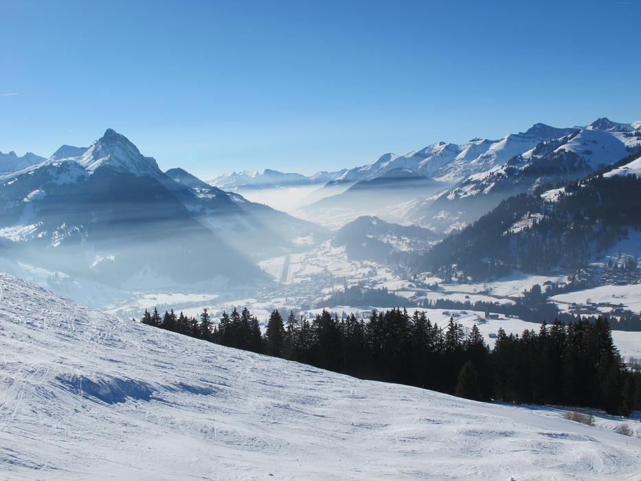 Snow Winter