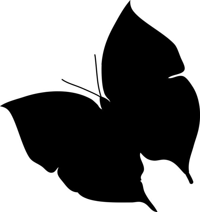 black butterfly on a white background