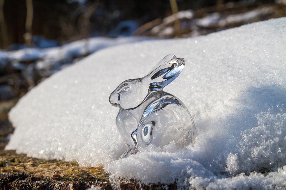 Easter Hare Glass
