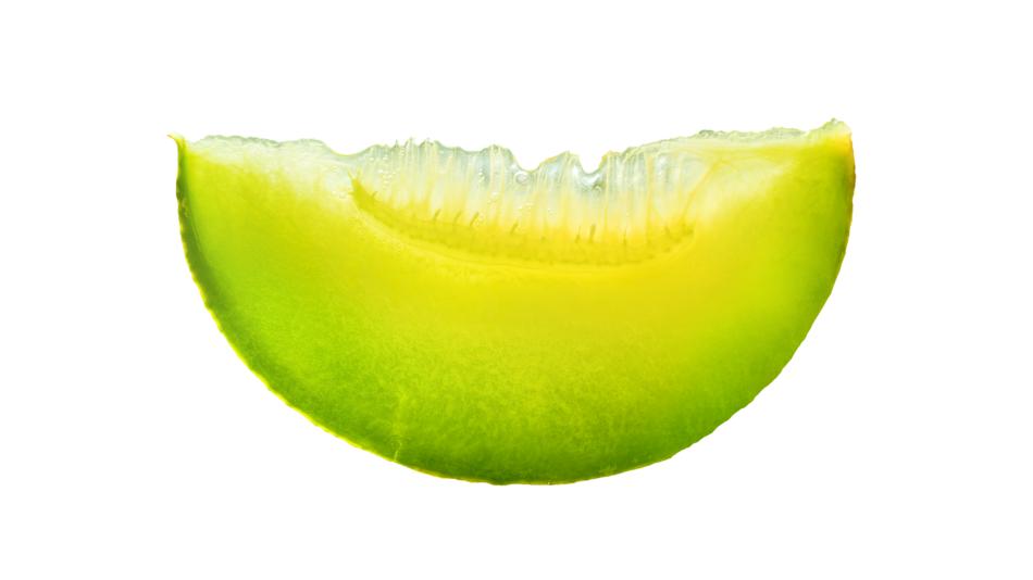 lime slice on a white background