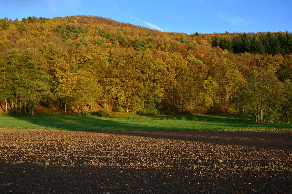 Arable Ackerfurchen Agriculture