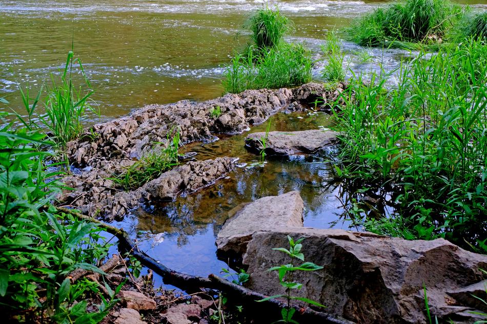 Bank River Water