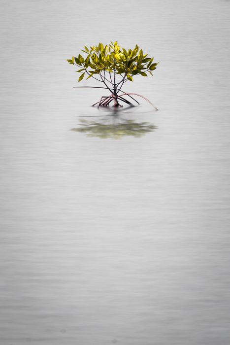Water Nature Reflection