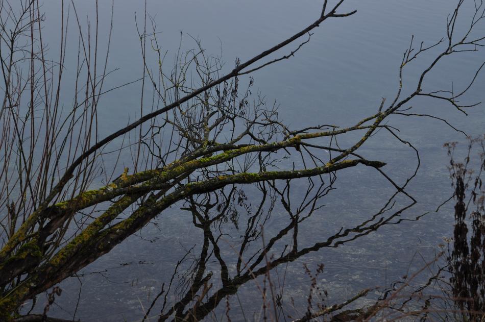 Mirroring Lake Water