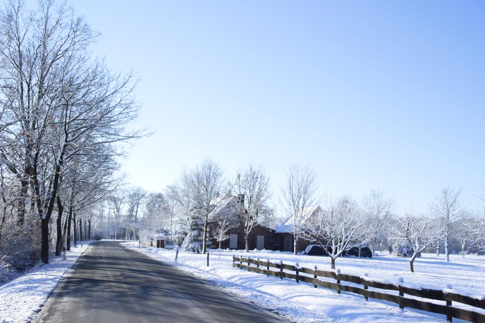 Winter Snow Cold