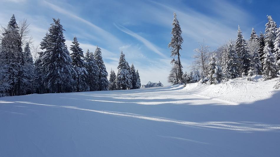 Snow Winter Cold