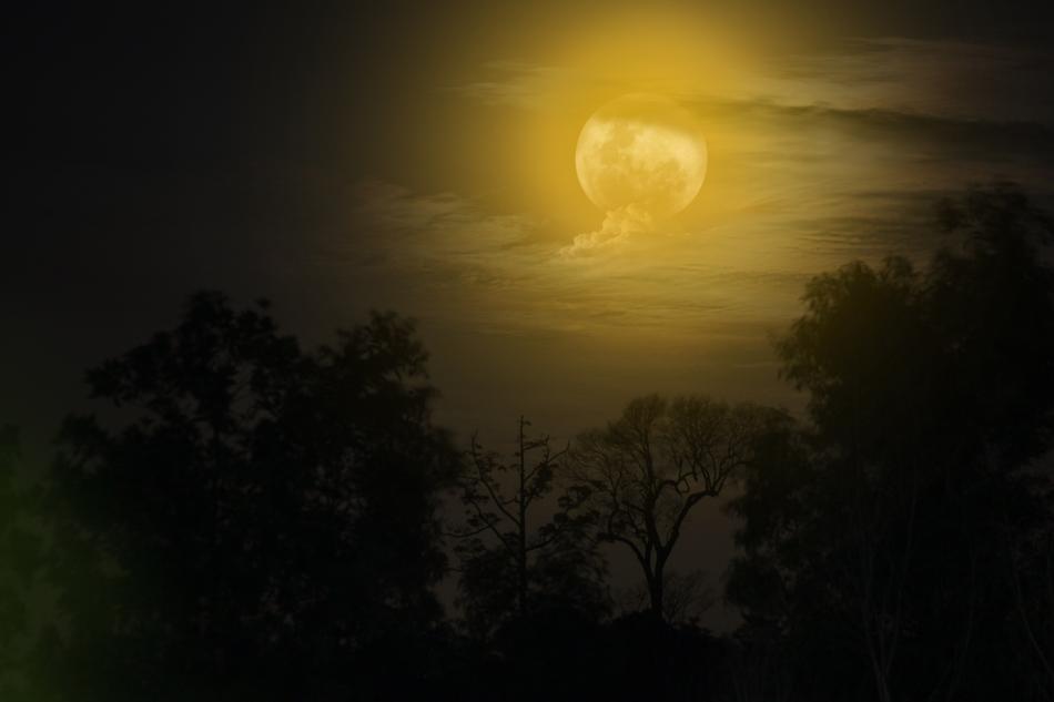 Moon Night Nightshoot