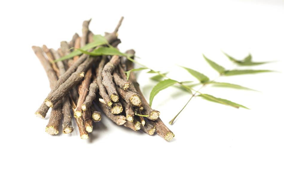 Ayurveda Herbs Beauty