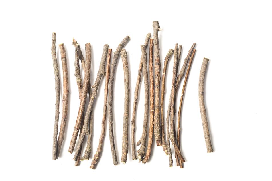 Ayurveda Herbs Beauty