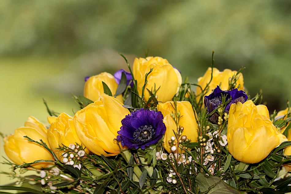 Still Life Flower Bouquet Spring