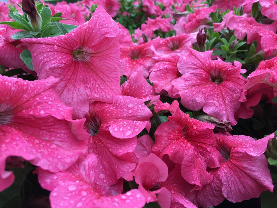 many colors in water droplets