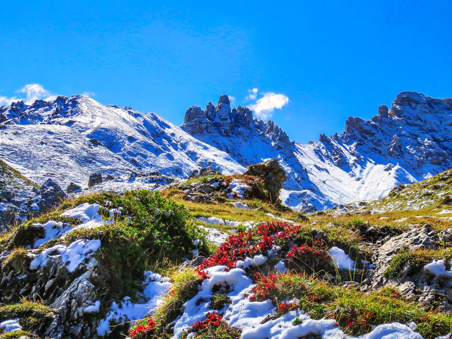 Mountain South Tyrol Schlern Ross