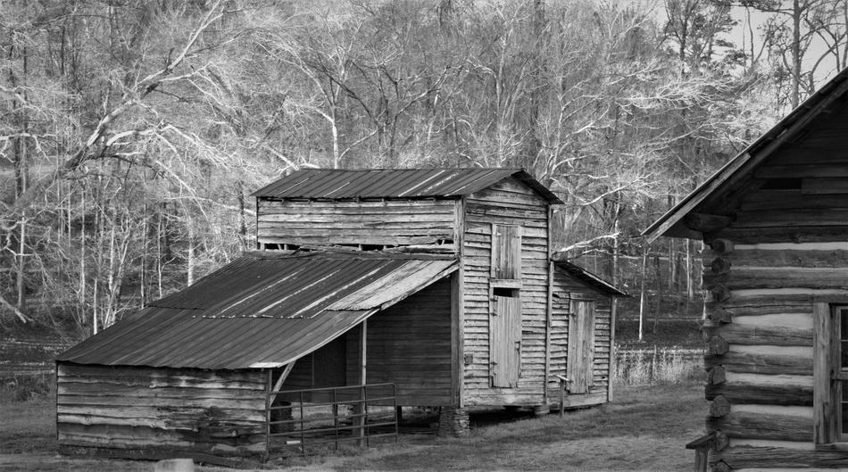 Wood Monochrome Old