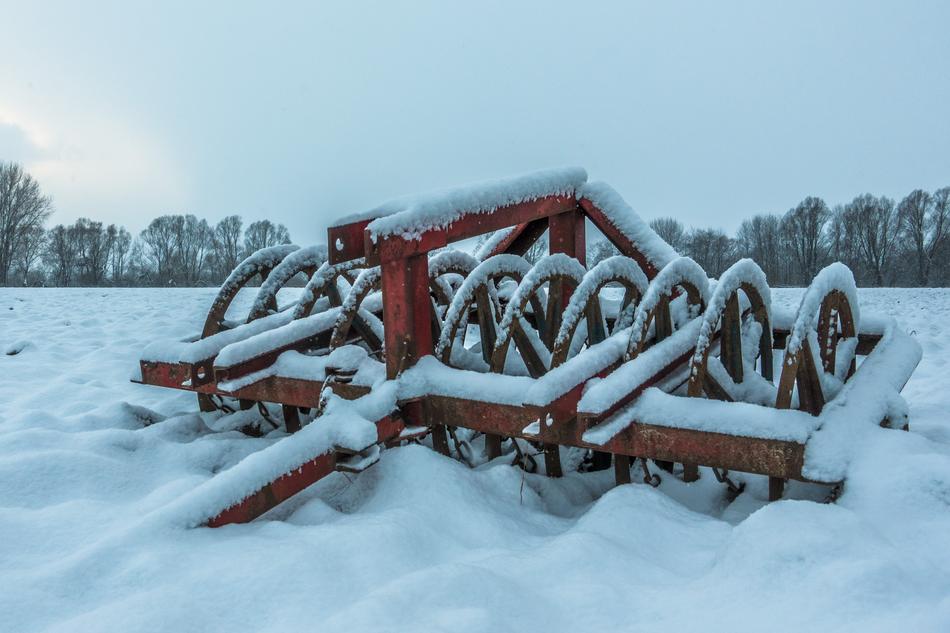 Winter Snow Cold