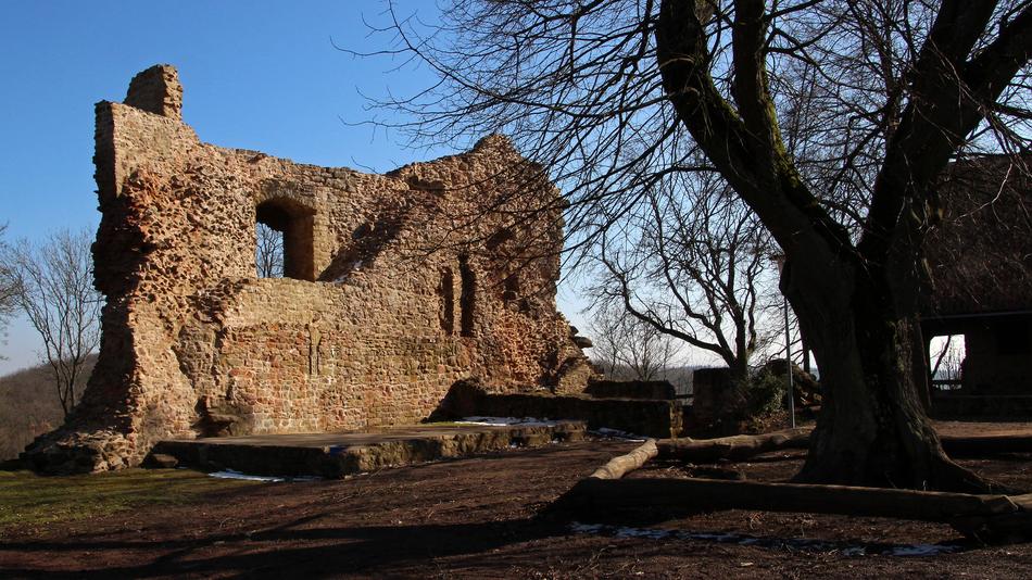 Nature Castle Ruin