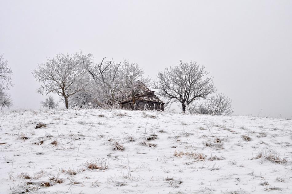 Winter Nature Snow