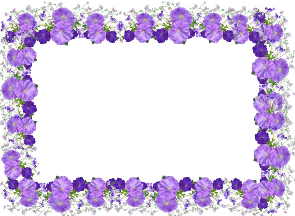 Frame Border Petunias
