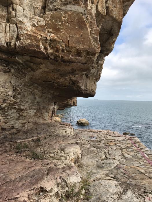 Nature Waters Coast