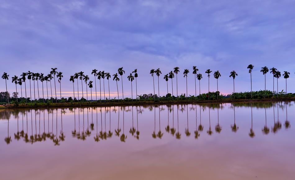 Water Lake Nature