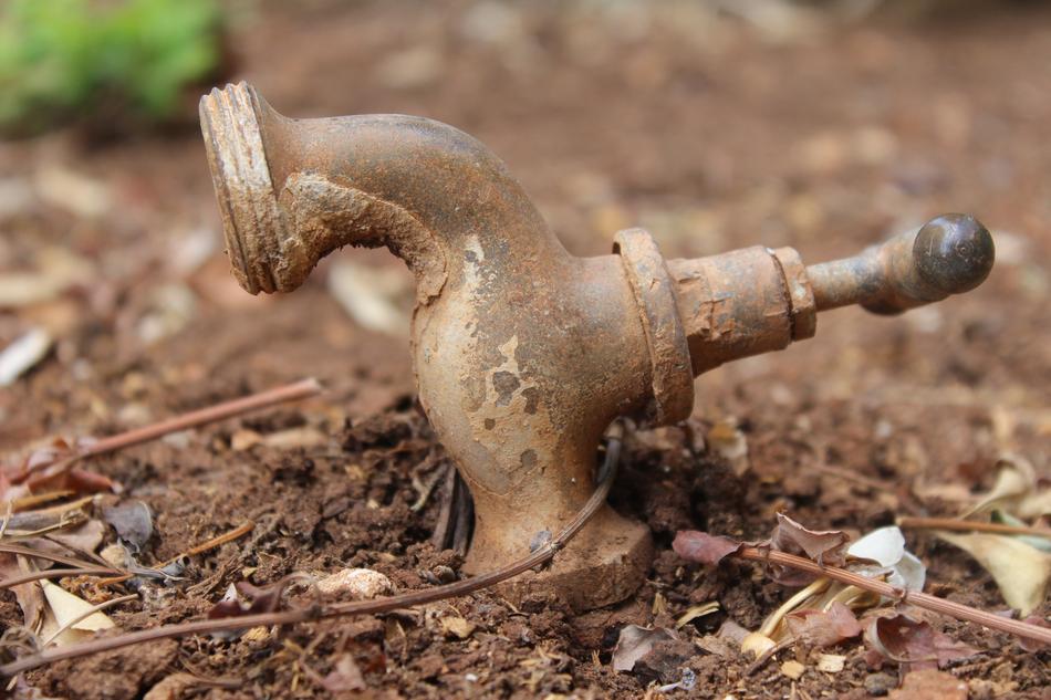 Nature Tap Faucet