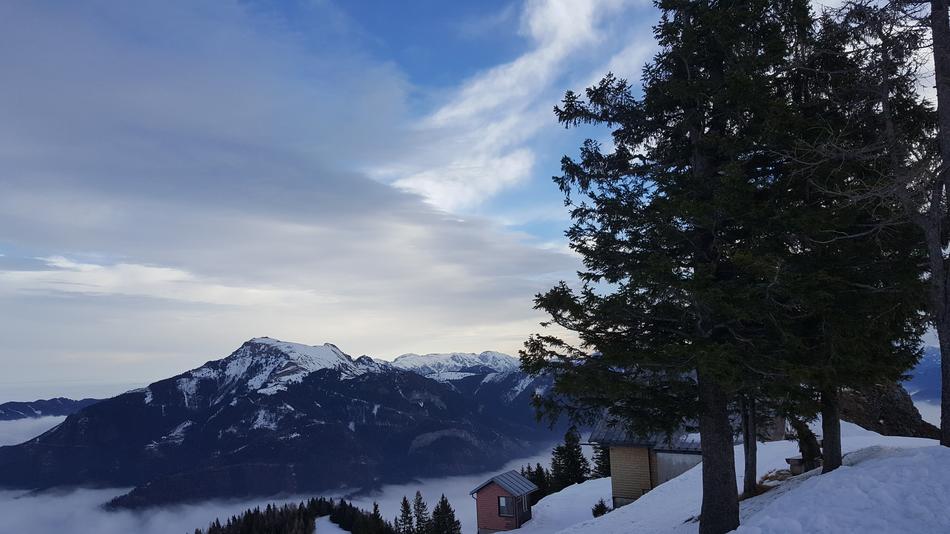 Snow Winter Nature Panorama