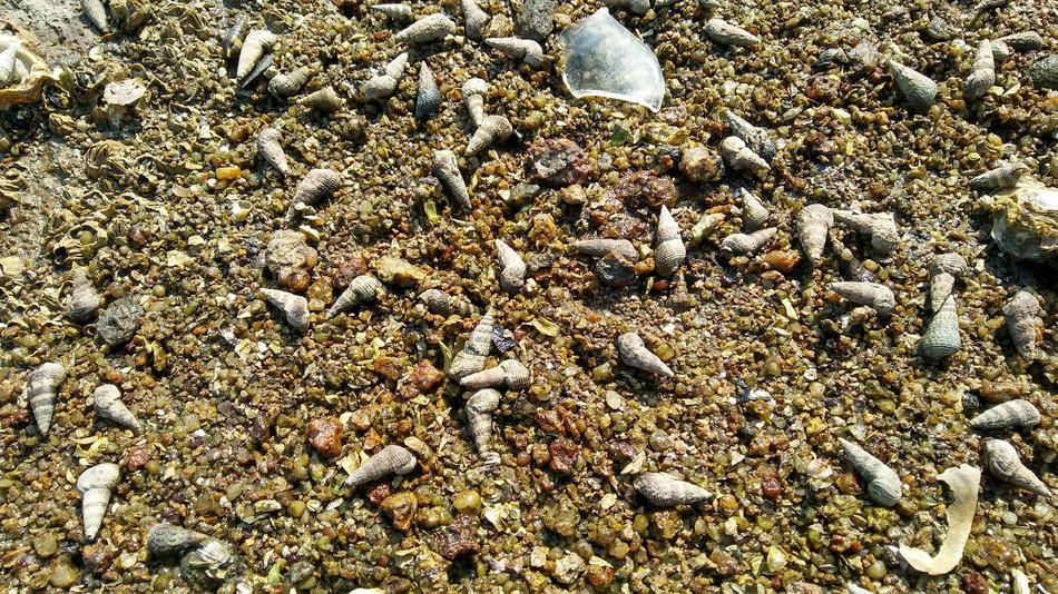 Nature Sand Dry