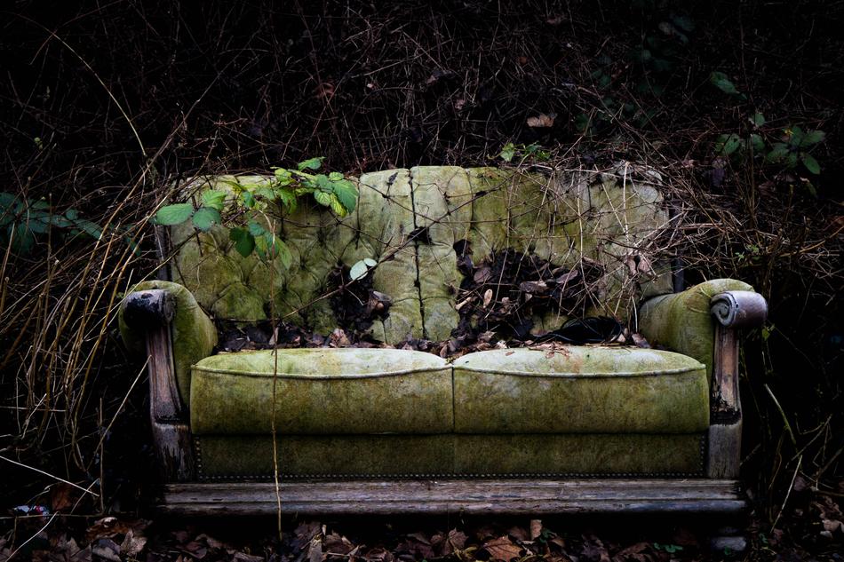 Wood Nature Old