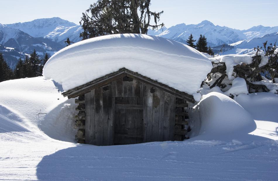 Snow Winter Cold